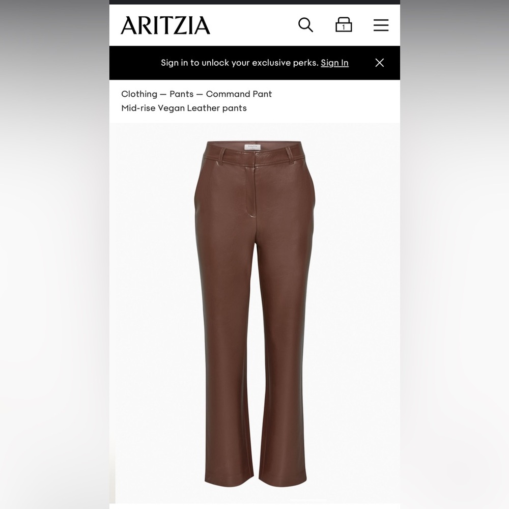 ARITZIA LEATHER PANTS